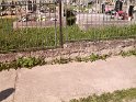 SAM_1064 SAM_1064